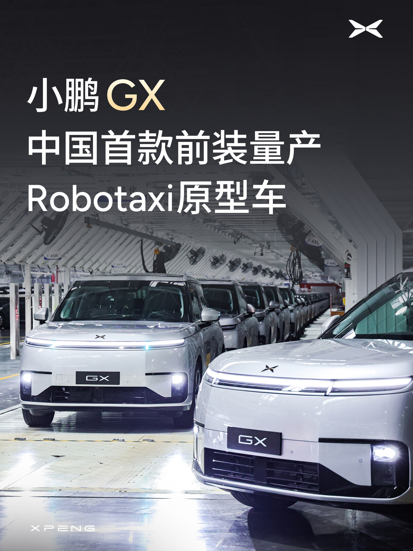 赏金国际